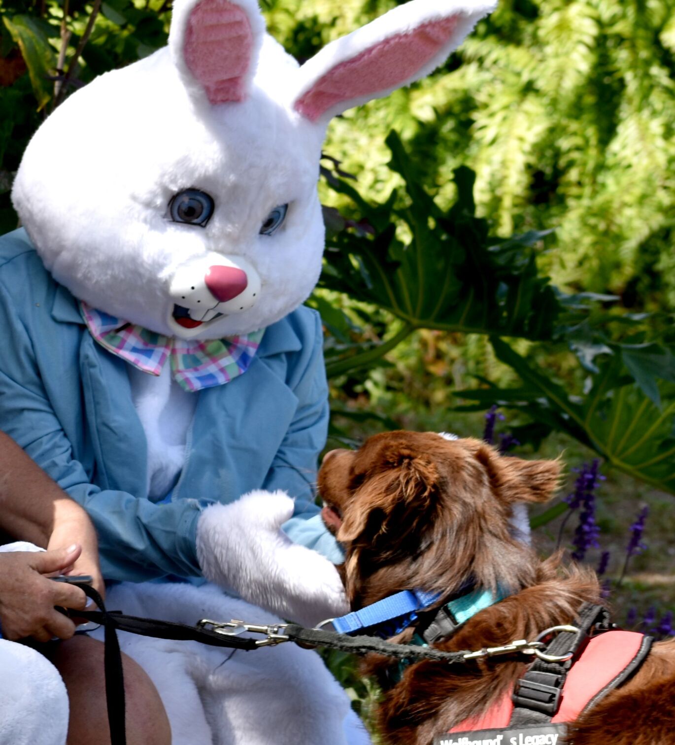 Families and pets celebrate Easter early at Punta Gorda History Park